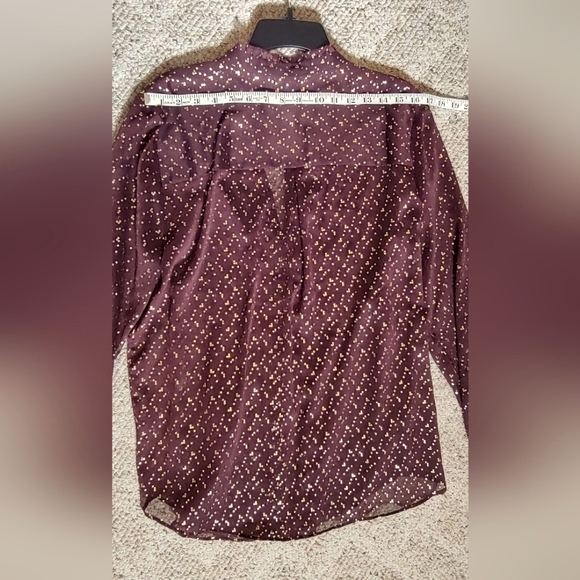 Sheer Blouse with Nice Details - Picture 2 of 8